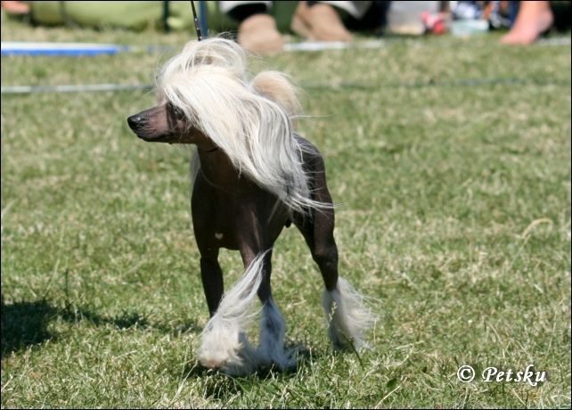 De La Mahafu's Eyedea