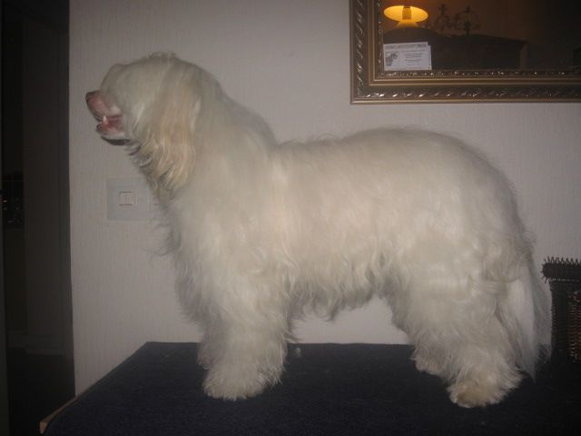 Magic'N Mystic Frog Prince