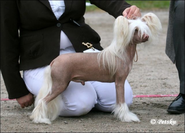 Magic'N Mystic Heavy Metal