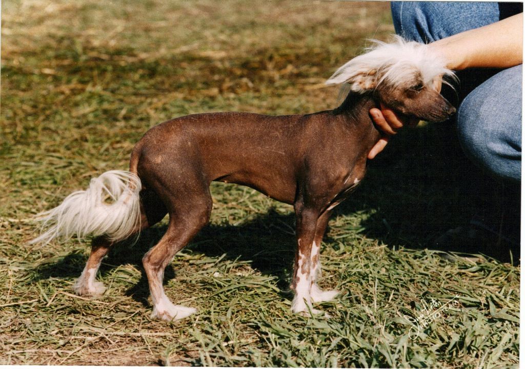 Pearlesent Maggie May