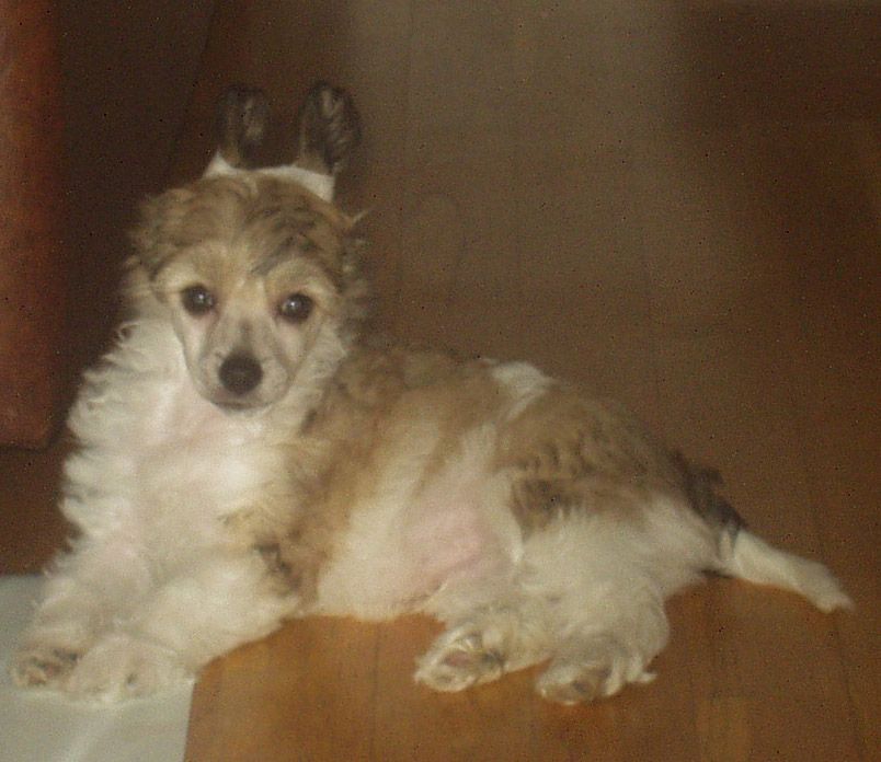 Noon's Face The Jazz