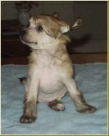 Noon's All That Jazz