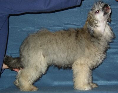 Väråsen Fight For Life