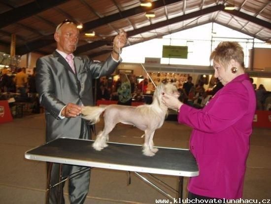 Magna cum Laude de GabriTho