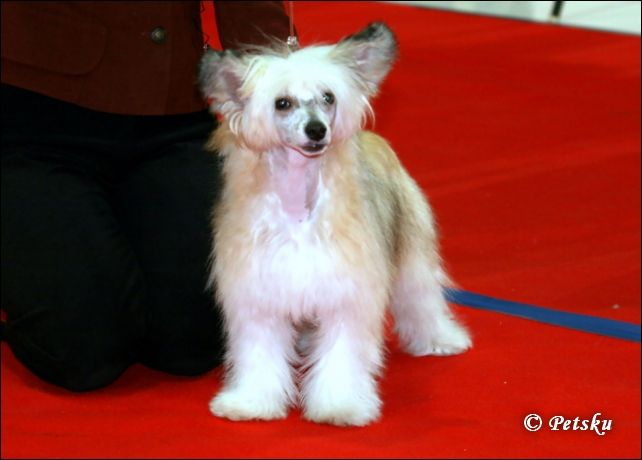 Sun Dan Drop Of Honey