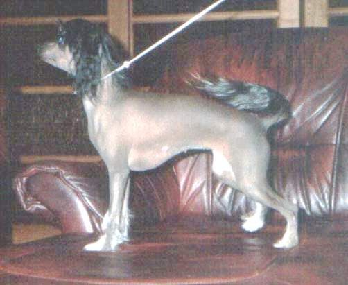 Alaya Marga s Tushinskogo Doma