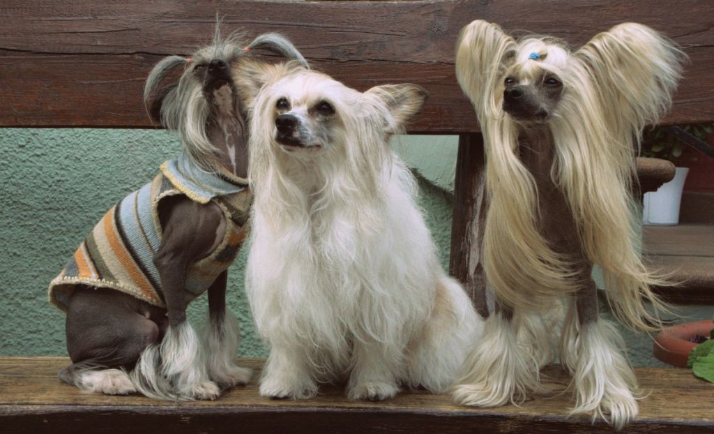 Paradise Is Here Imperija