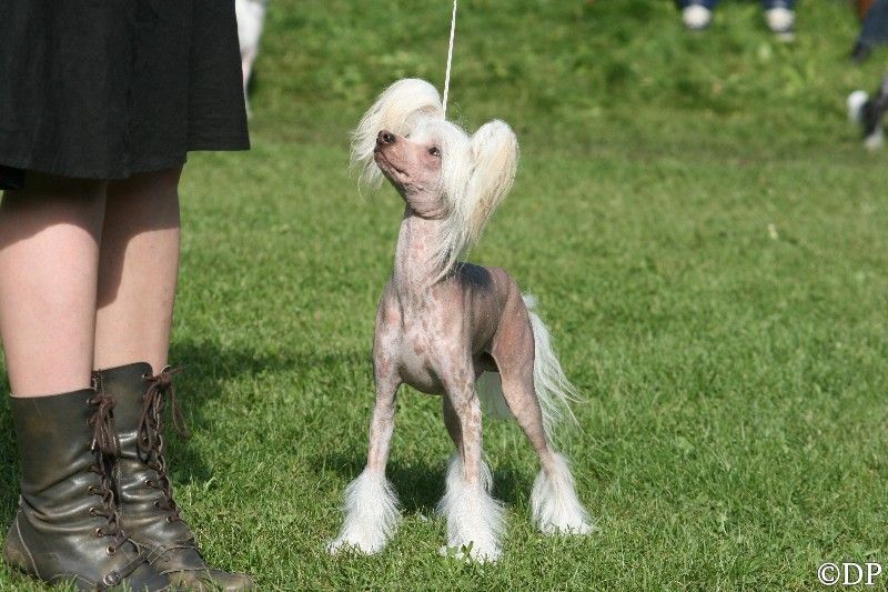 Shakespeare In Love Imperija