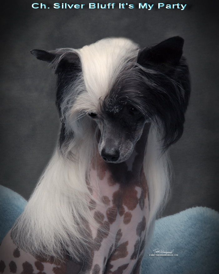 Silver Bluff It's My Party