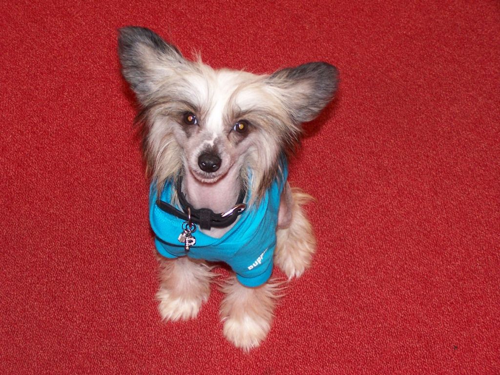 Fidji Island Shangri La