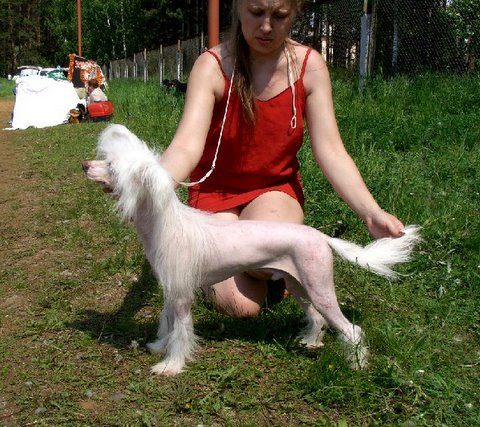 Tamerlan Beshtau Bluz Temnoj Storoni