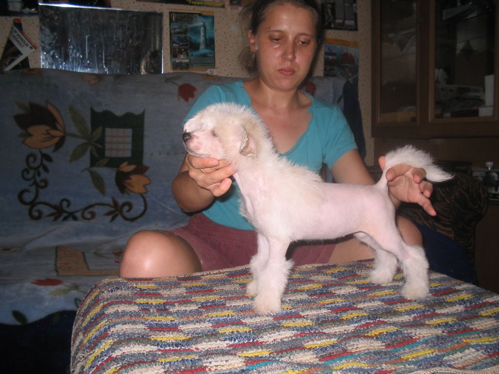 Tamerlan Beshtau Bol*she Chem Gizn