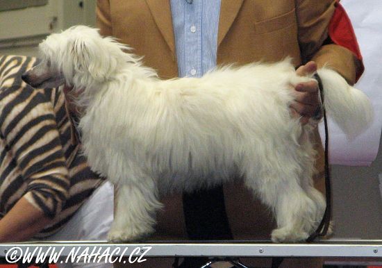 November Powder de GabriTho