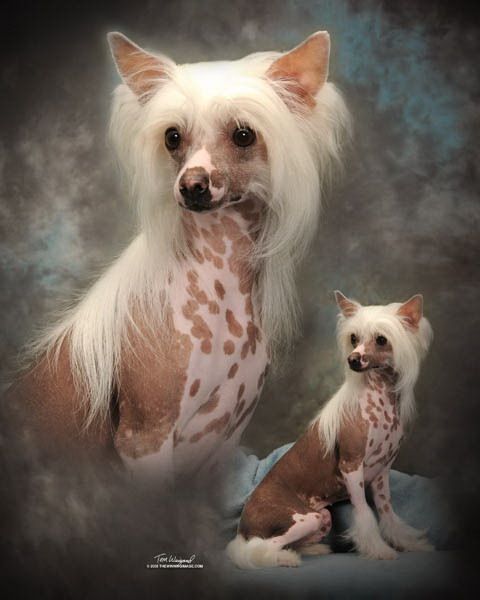 Silver Bluff  Panning For Gold