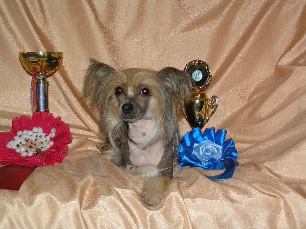 Rus Foreva Grelfi Fir Nort