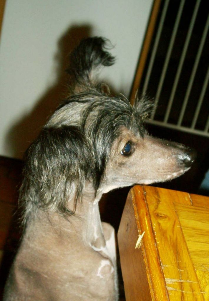 A Famous Celebrity du Coeur des Ténèbres