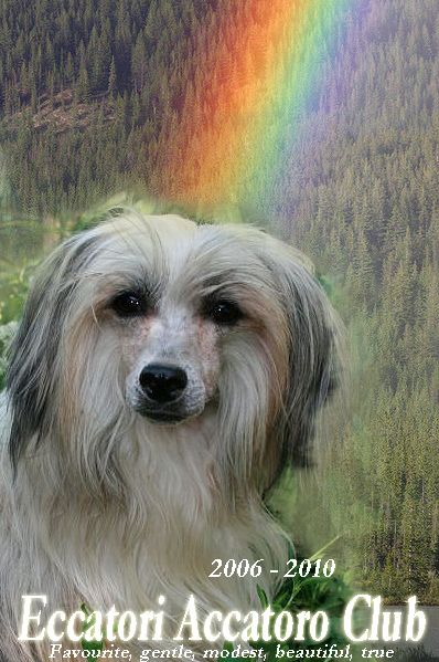 Eccatori Accatoro Club