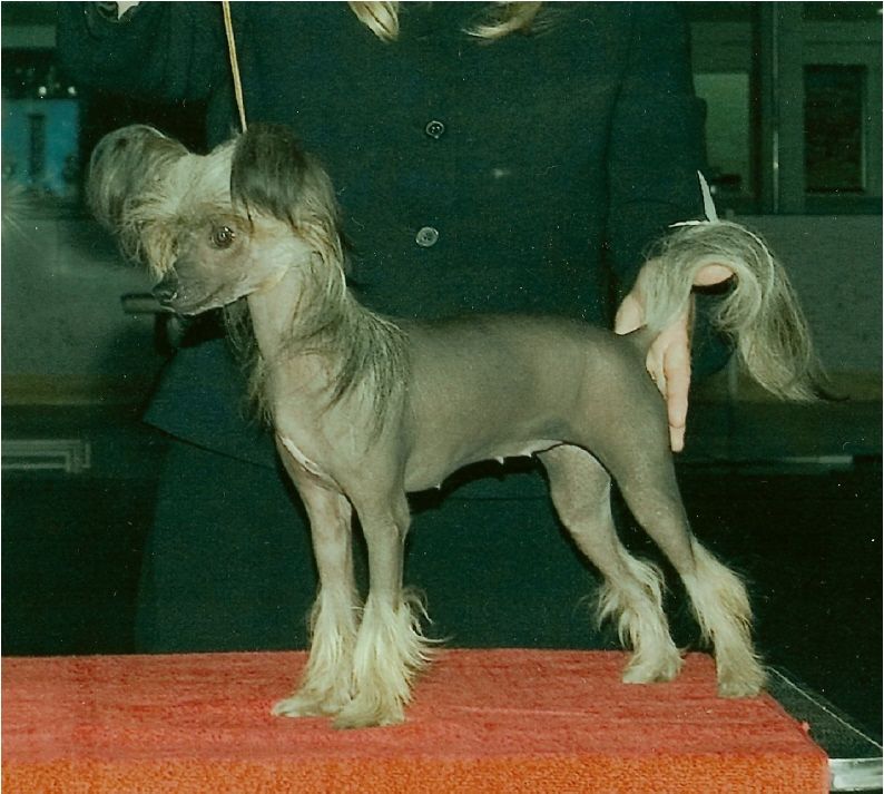 Bodeswell Midnight At Rosehall