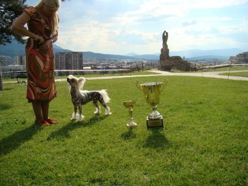 Olegro Katrin Illight Song