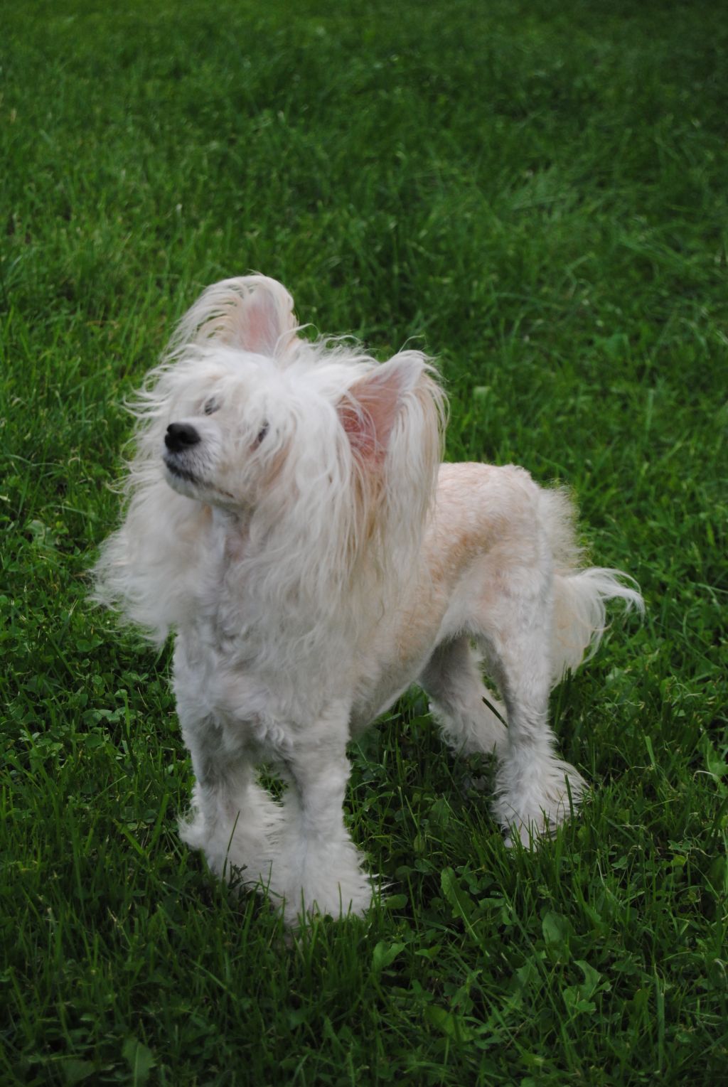 Rouber Balt Montija Mit