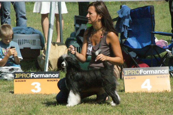 Hossa-Vija Voyger Salve