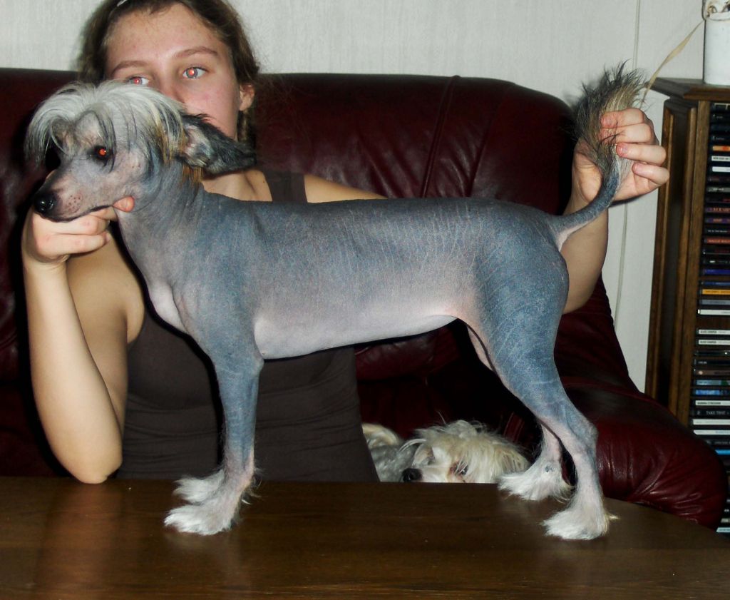 Local Hero's V Power To Dyrdal