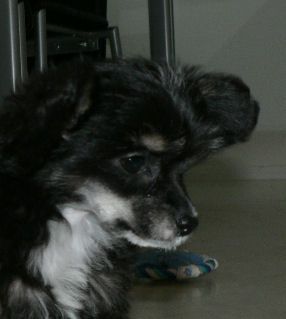 Glorious Ladies First