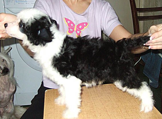 Olegro Katrin Indiana Dzhons