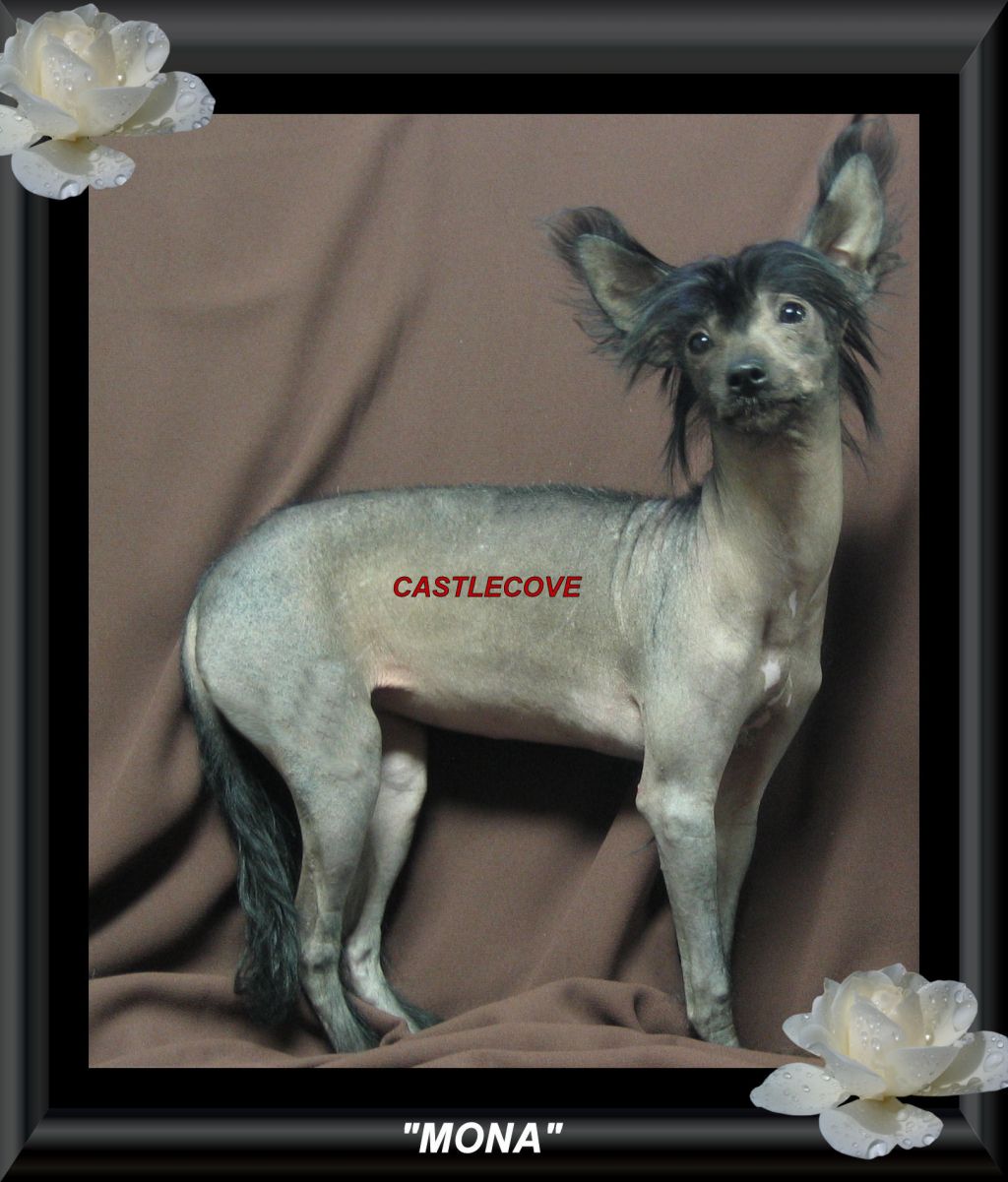 ICF Mona-Mi of Castlecove