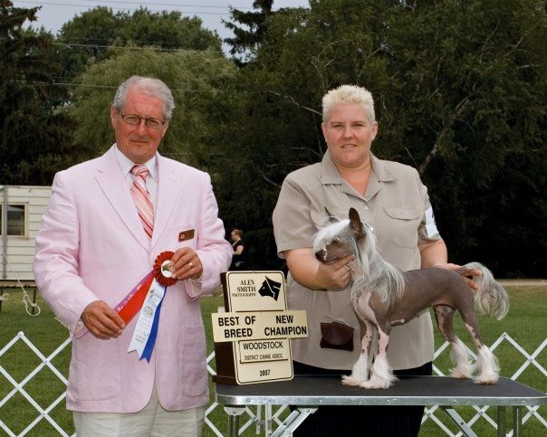 Anfarra Maui of Sterlingden