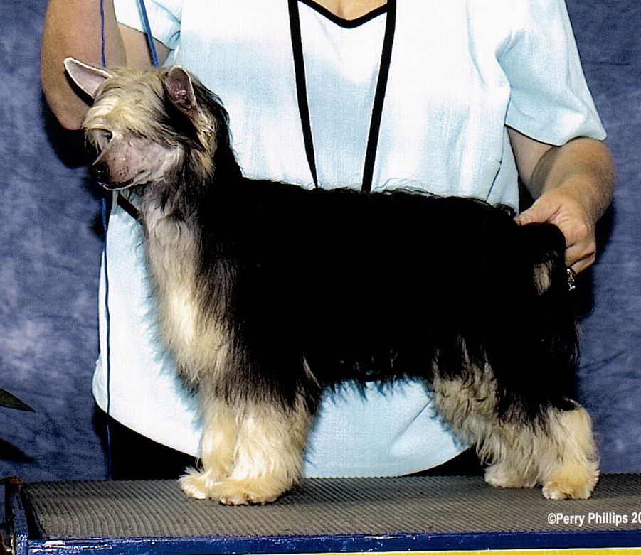 Diva's Sweet Southern Jazz