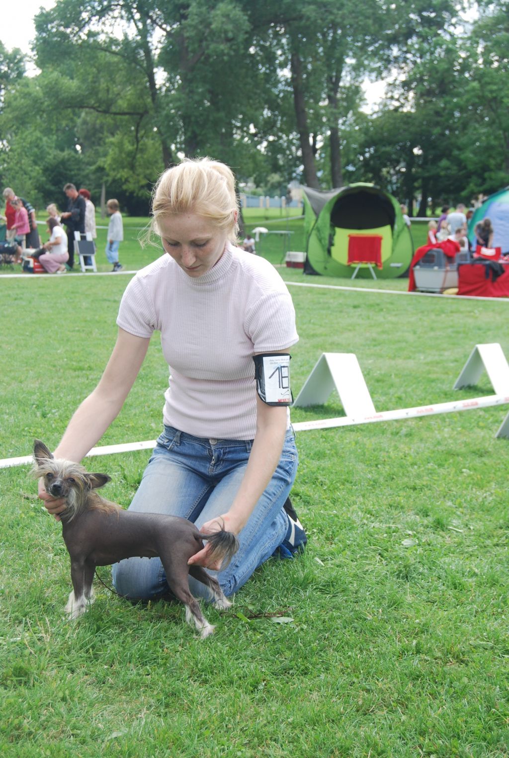 In-Sa-In Kiprianna Svift