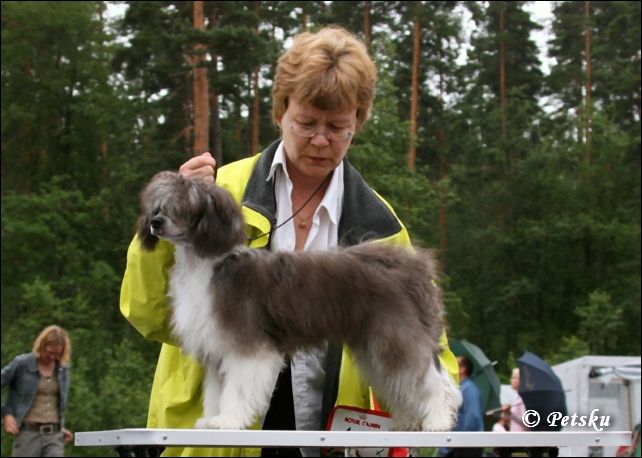 Zhannel's Sex Pistol