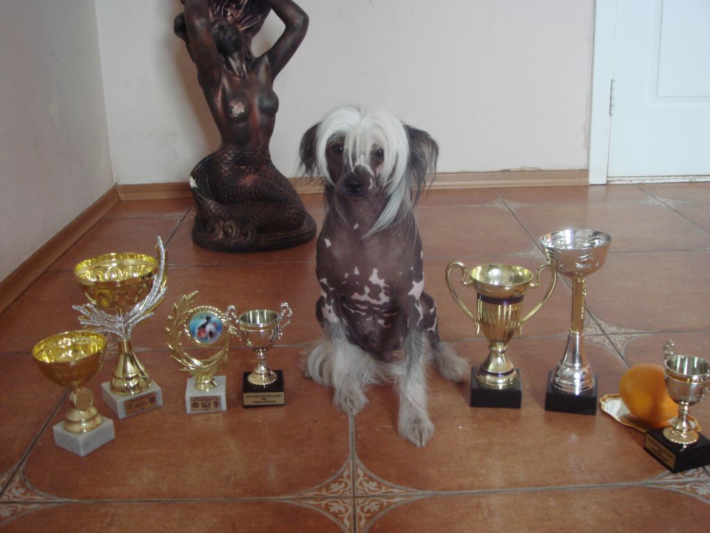 Bi-Lav Plus Jeorge Miloslavskyi