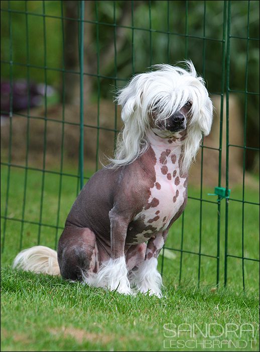 Miors's Gorgeous Grace