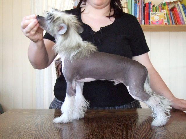 Miors's Gandalf Wizard