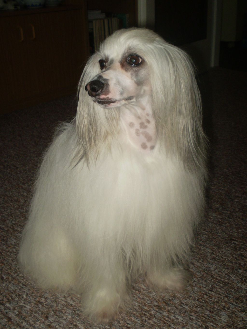 Barnye Beneton z Valasskeho raje