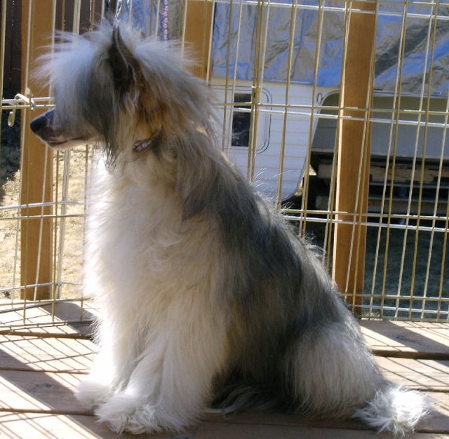 D'Nude's Simply Faboolous