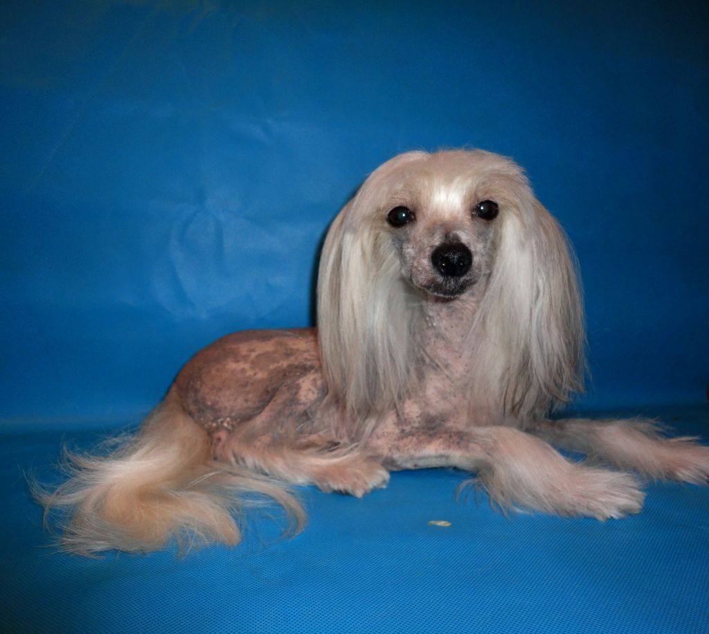 Iroslava Raiskaya Ptichka