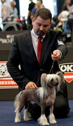 One to Remember  de GabriTho