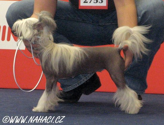 Original Sin de GabriTho