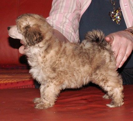 Obsession de GabriTho