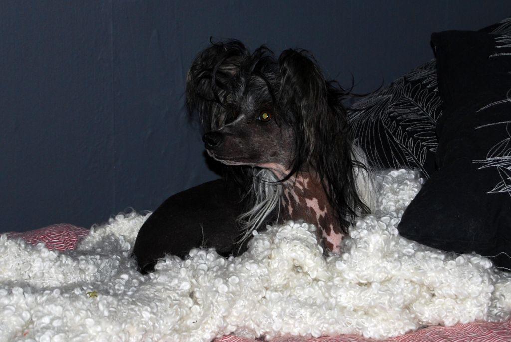 Sun-Hee's So Untouchable