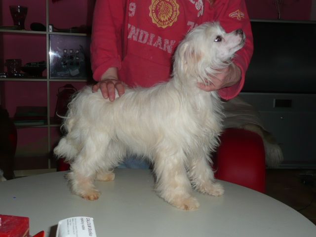 Hannah ze Zatopené chajdy