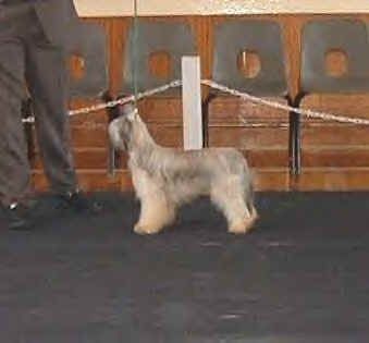 Liddyleaze Liason With Vanitonia