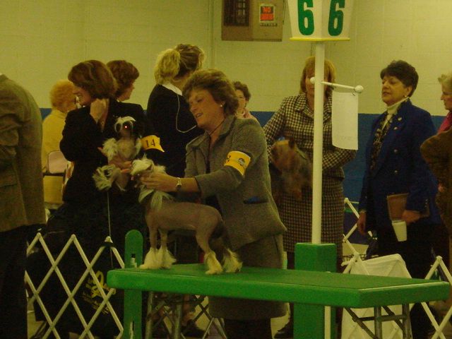 Pixie Sue Of Tinker's Toys