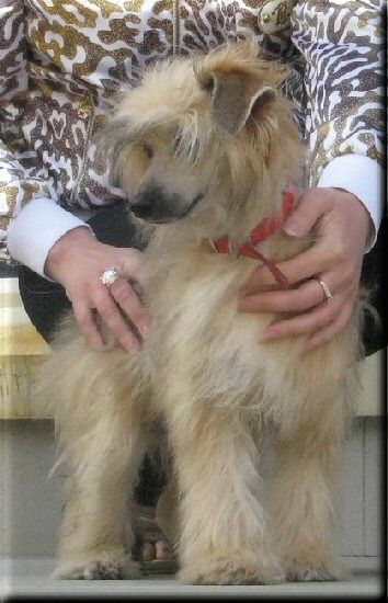 Karnelius Clean Line