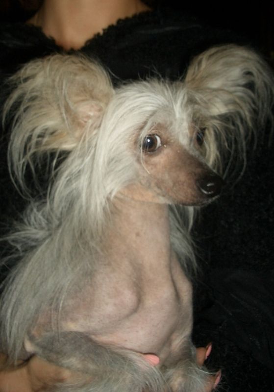 Shangri'la Vita Ksolo Club