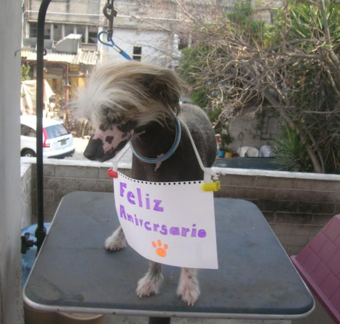 An Engel's Dream Of Fantasy