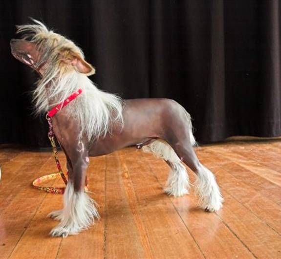 Blackheath Look N N V